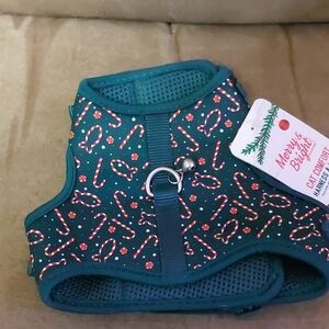 🐈‍⬛ Merry And Bright Green Cat Harness with Candy Cane Design